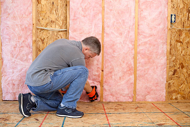 Best Commercial Insulation in Apison, TN